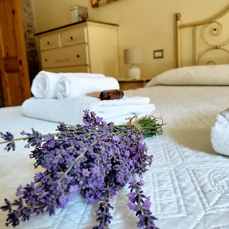 Corte Davini Farm stay
