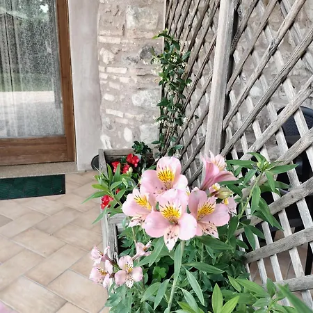 Farm stay Corte Davini Monzambano