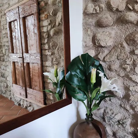 Farm stay Corte Davini *